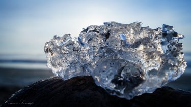 【氷の宝石】北海道、豊頃町の絶景「ジュエリーアイス」を紹介！【作例あり】